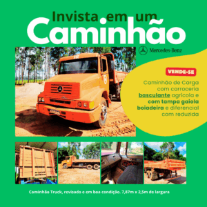 Caminhão de Carga Mercedes Benz